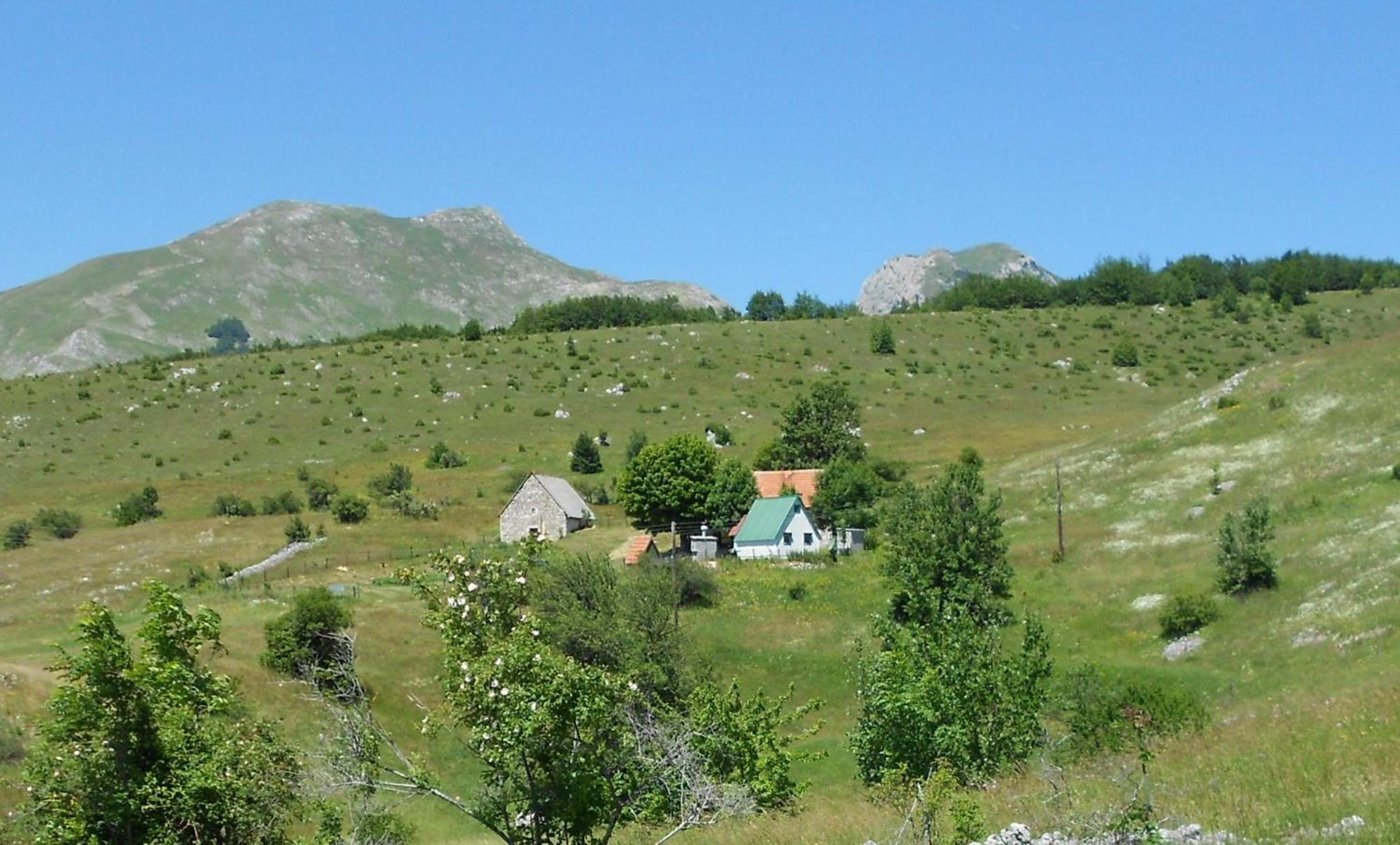 Suri Guest House Plužine Exterior photo